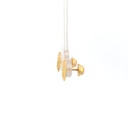 TOPOS GUADALUPE ORO AMARILLO               