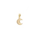 DIJE LUNA ORO AMARILLO               