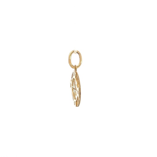 [SGA131] DIJE BRUJULA ESTRELLA ORO AMARILLO